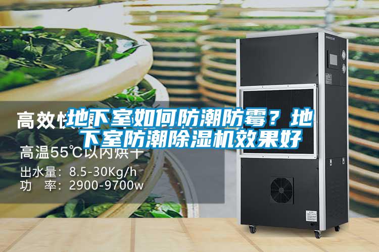 地下室如何防潮防霉？地下室防潮除濕機(jī)效果好
