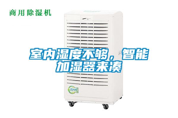 室內濕度不夠，智能加濕器來湊