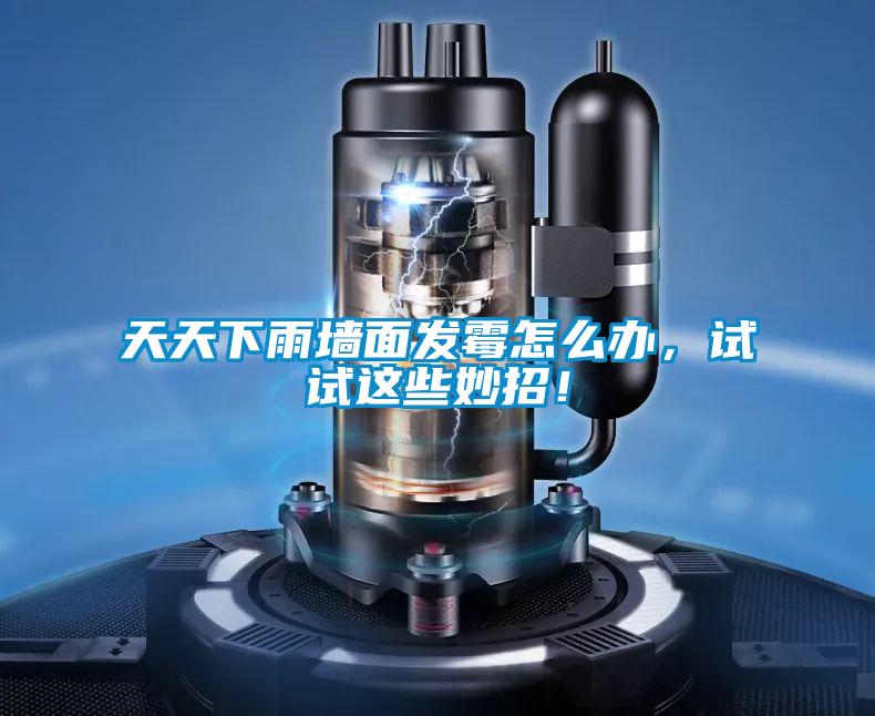 天天下雨墻面發(fā)霉怎么辦，試試這些妙招！