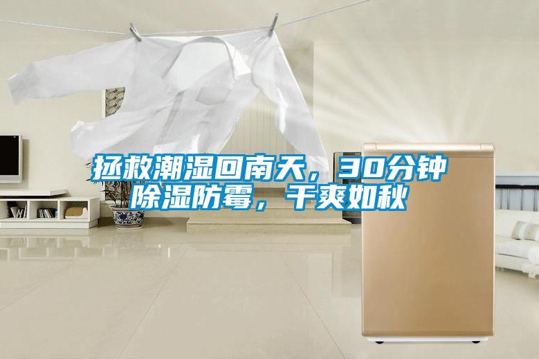 拯救潮濕回南天，30分鐘除濕防霉，干爽如秋