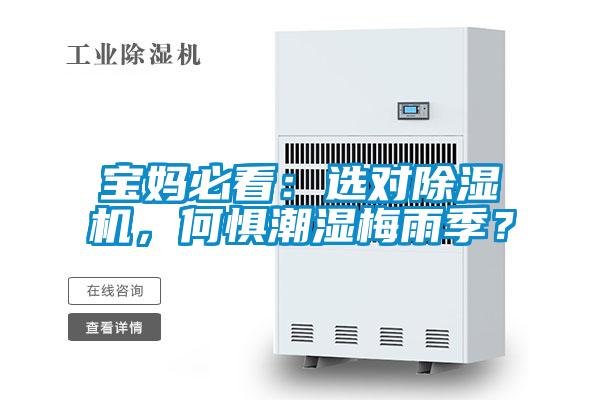 寶媽必看：選對除濕機，何懼潮濕梅雨季？