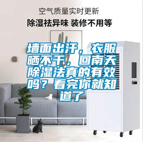 墻面出汗，衣服曬不干，回南天除濕法真的有效嗎？看完你就知道了