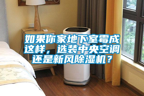 如果你家地下室霉成這樣，選裝中央空調(diào)還是新風(fēng)除濕機(jī)？