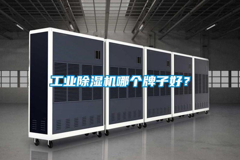 工業(yè)除濕機(jī)哪個(gè)牌子好？