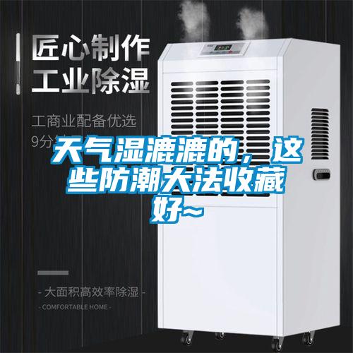 天氣濕漉漉的，這些防潮大法收藏好~