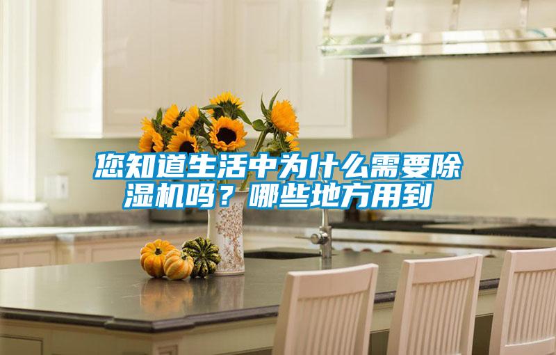 您知道生活中為什么需要除濕機(jī)嗎？哪些地方用到