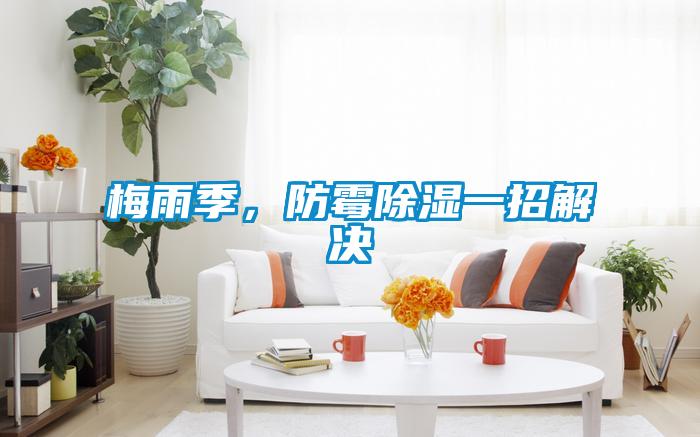 梅雨季，防霉除濕一招解決