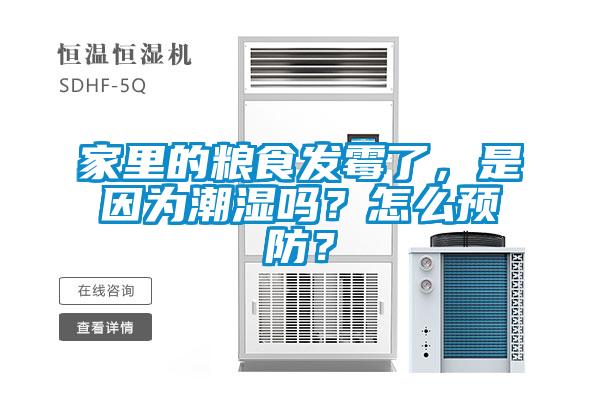 家里的糧食發(fā)霉了，是因為潮濕嗎？怎么預(yù)防？