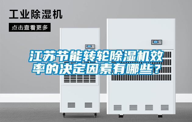 江蘇節(jié)能轉(zhuǎn)輪除濕機(jī)效率的決定因素有哪些？
