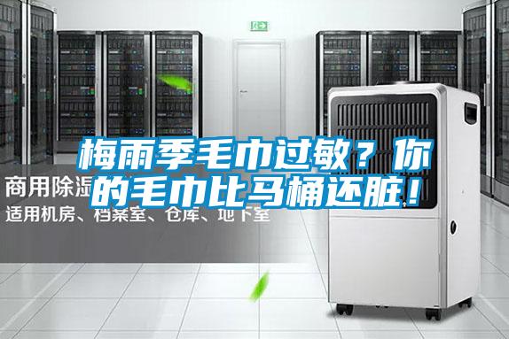 梅雨季毛巾過敏？你的毛巾比馬桶還臟！