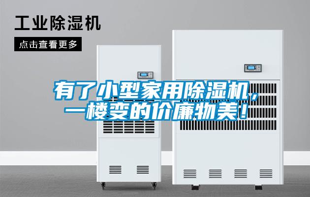 有了小型家用除濕機，一樓變的價廉物美！