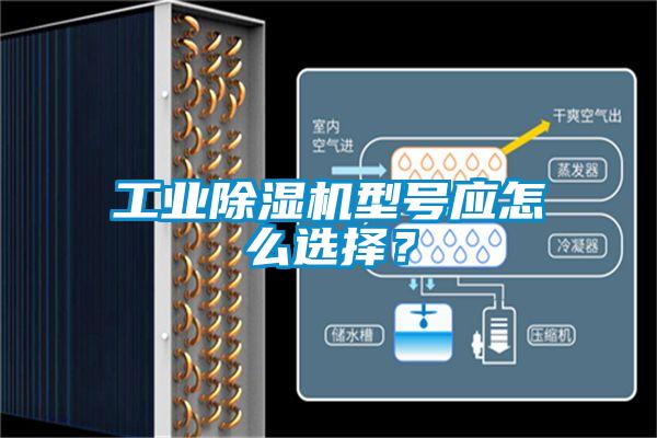 工業(yè)除濕機型號應怎么選擇？