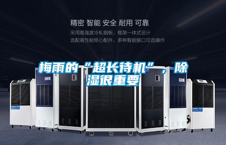 梅雨的“超長待機”，除濕很重要