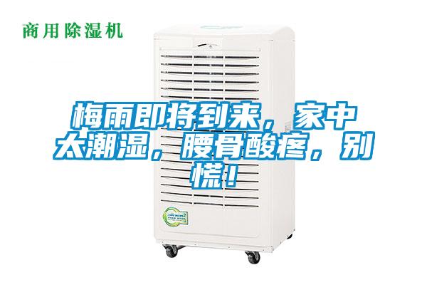 梅雨即將到來，家中太潮濕，腰骨酸疼，別慌！