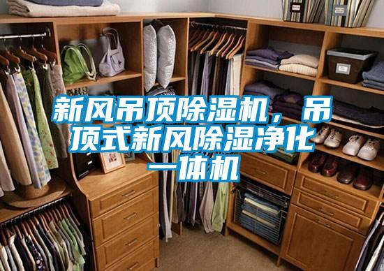 新風(fēng)吊頂除濕機(jī)，吊頂式新風(fēng)除濕凈化一體機(jī)