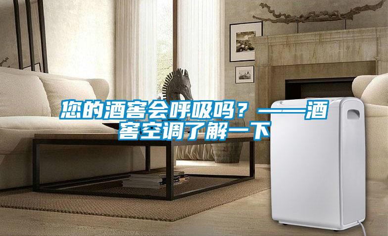 您的酒窖會呼吸嗎？——酒窖空調了解一下