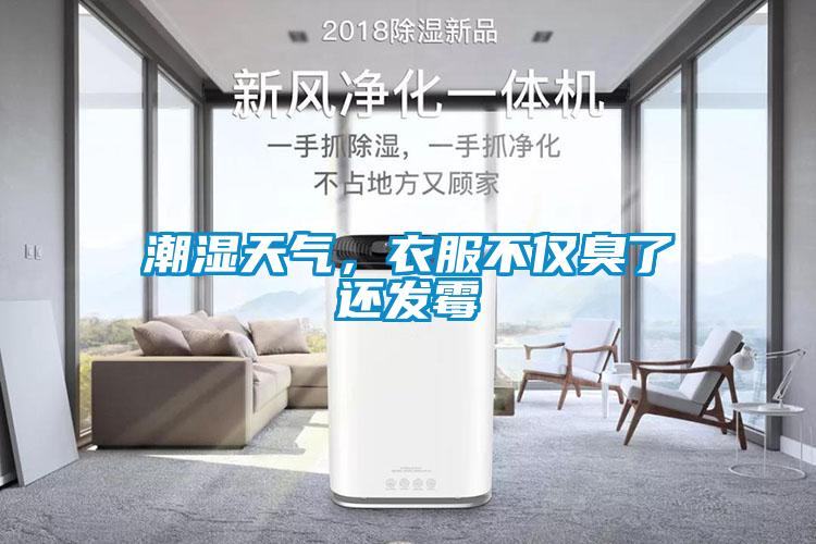 潮濕天氣，衣服不僅臭了還發(fā)霉