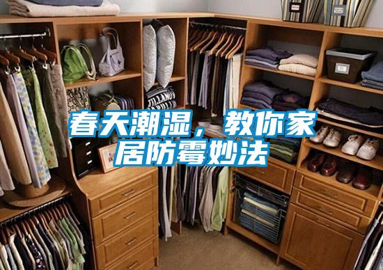 春天潮濕，教你家居防霉妙法
