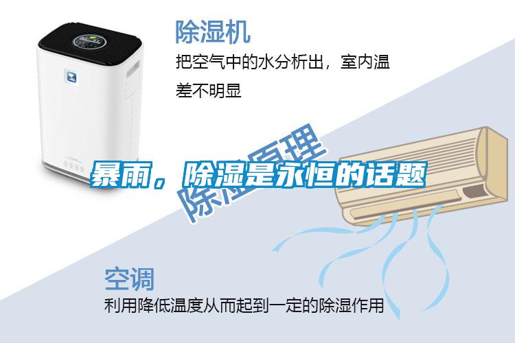 暴雨，除濕是永恒的話題