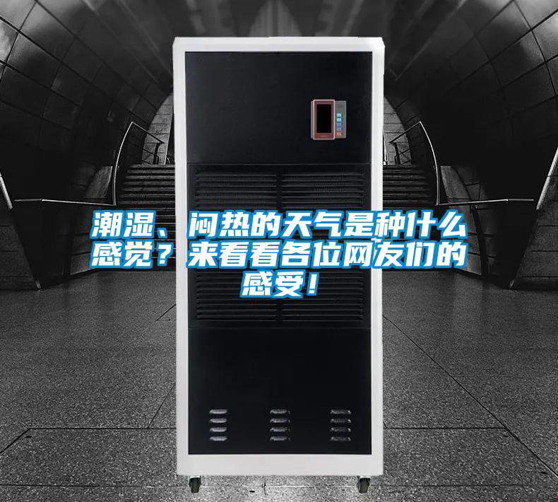 潮濕、悶熱的天氣是種什么感覺？來看看各位網(wǎng)友們的感受！