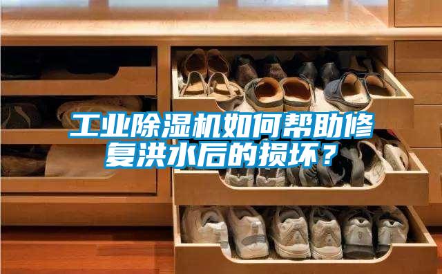 工業(yè)除濕機如何幫助修復洪水后的損壞？
