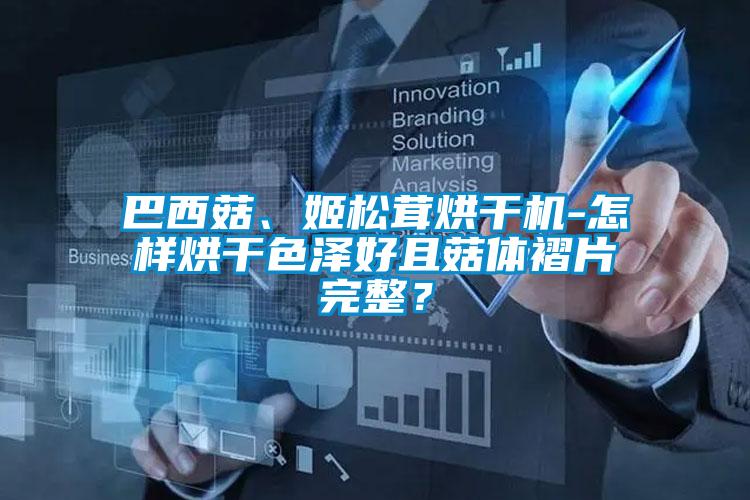 巴西菇、姬松茸烘干機(jī)-怎樣烘干色澤好且菇體褶片完整？