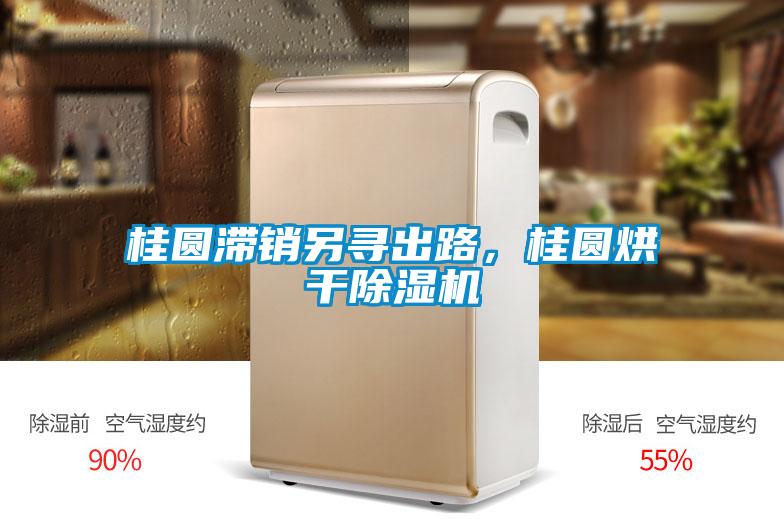 桂圓滯銷另尋出路，桂圓烘干除濕機(jī)