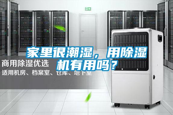 家里很潮濕，用除濕機(jī)有用嗎？