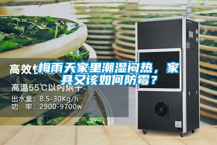 梅雨天家里潮濕悶熱，家具又該如何防霉？