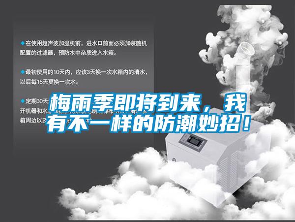 梅雨季即將到來，我有不一樣的防潮妙招！