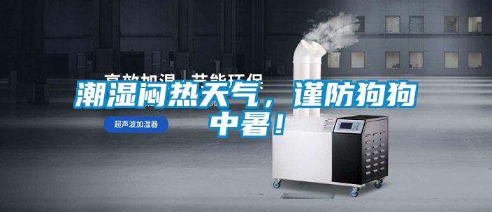 潮濕悶熱天氣，謹(jǐn)防狗狗中暑！