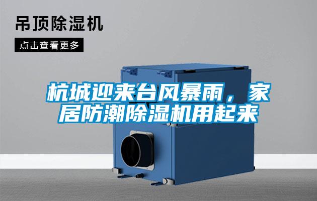 杭城迎來臺風(fēng)暴雨，家居防潮除濕機(jī)用起來