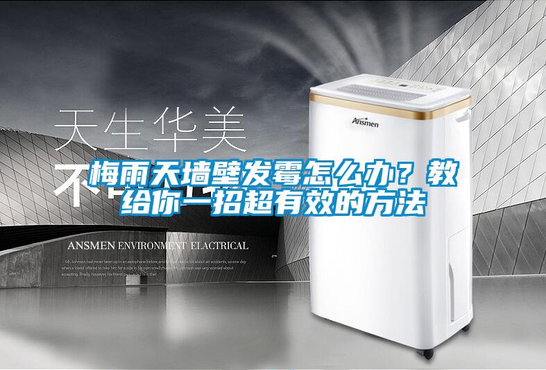 梅雨天墻壁發(fā)霉怎么辦？教給你一招超有效的方法