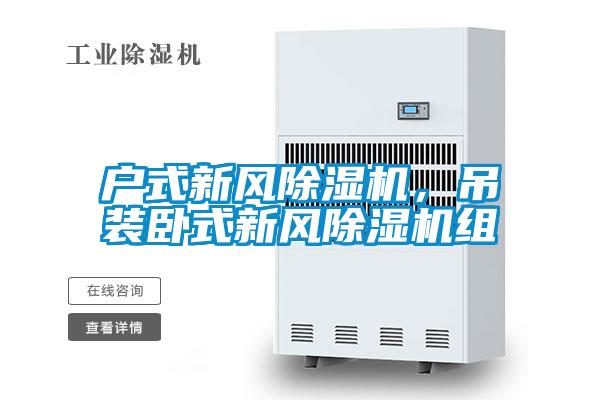 戶式新風(fēng)除濕機(jī)，吊裝臥式新風(fēng)除濕機(jī)組
