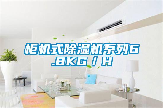 柜機式除濕機系列6.8KG/H