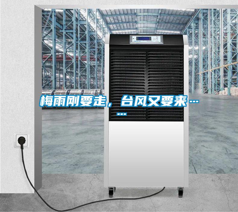 梅雨剛要走，臺(tái)風(fēng)又要來(lái)……