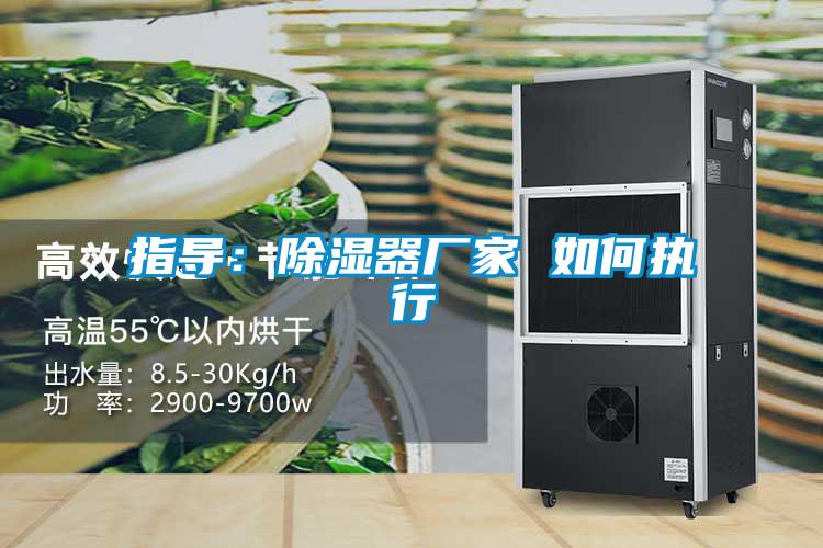 指導(dǎo):除濕器廠(chǎng)家 如何執(zhí)行
