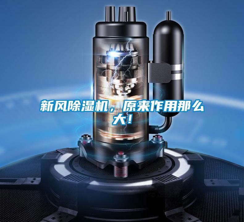 新風除濕機，原來作用那么大！