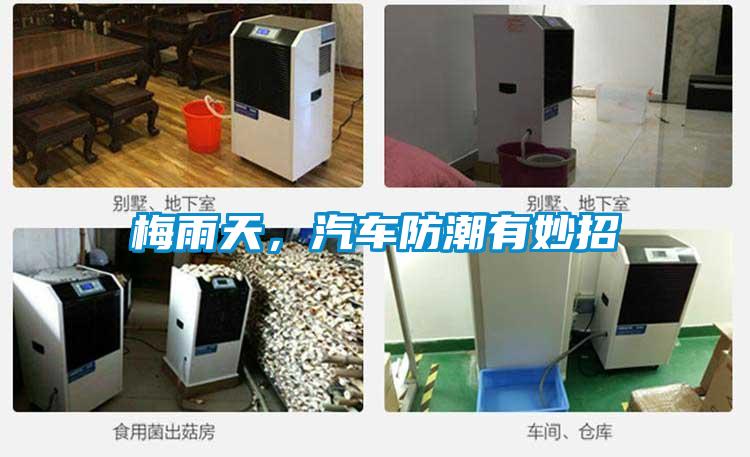 梅雨天，汽車防潮有妙招