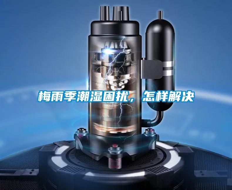 梅雨季潮濕困擾，怎樣解決