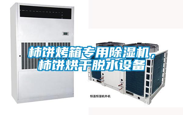 柿餅烤箱專用除濕機(jī)，柿餅烘干脫水設(shè)備