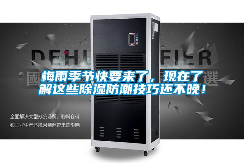 梅雨季節(jié)快要來(lái)了，現(xiàn)在了解這些除濕防潮技巧還不晚！