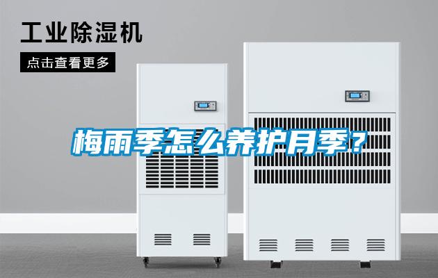 梅雨季怎么養(yǎng)護(hù)月季？