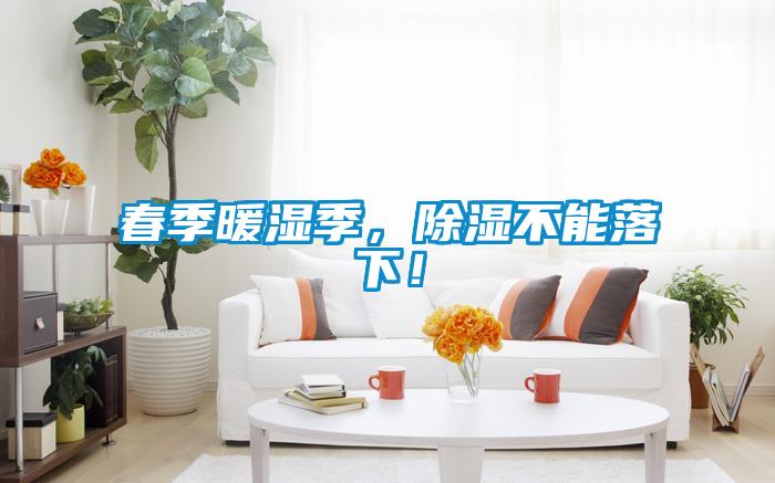 春季暖濕季，除濕不能落下！