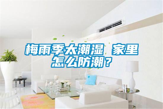 梅雨季太潮濕 家里怎么防潮？