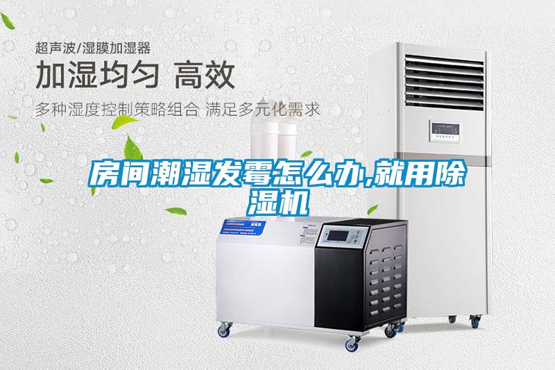 房間潮濕發(fā)霉怎么辦,就用除濕機