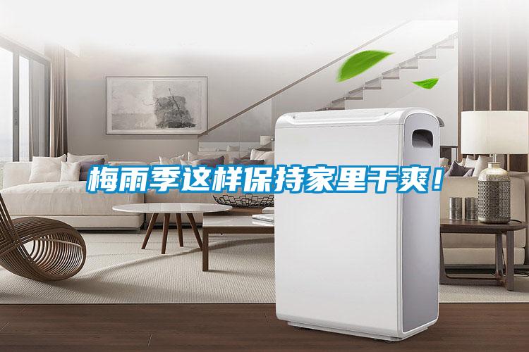 梅雨季這樣保持家里干爽！