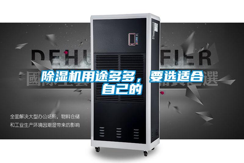 除濕機用途多多，要選適合自己的