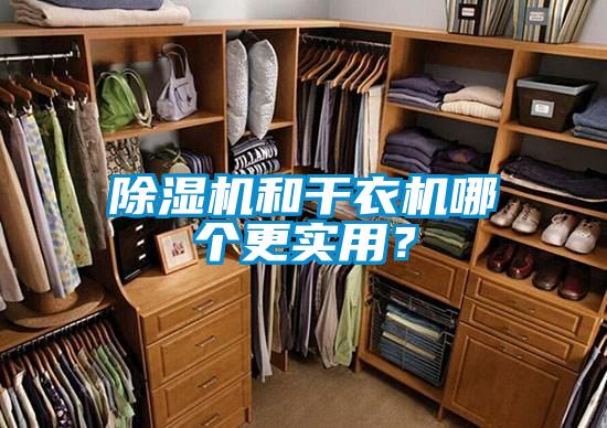 除濕機(jī)和干衣機(jī)哪個(gè)更實(shí)用？