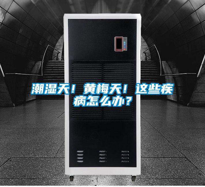 潮濕天！黃梅天！這些疾病怎么辦？